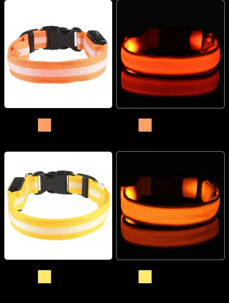 Laisse LED pour chien – Sécurité nocturne fluorescente en nylon