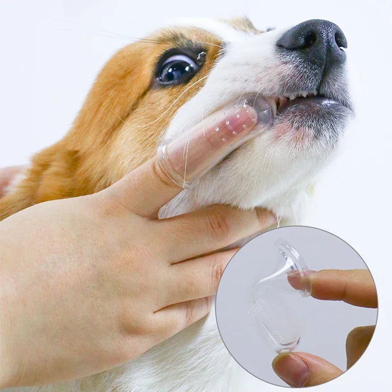 Brosse à Dents Doigt en Silicone pour Chien & Chat