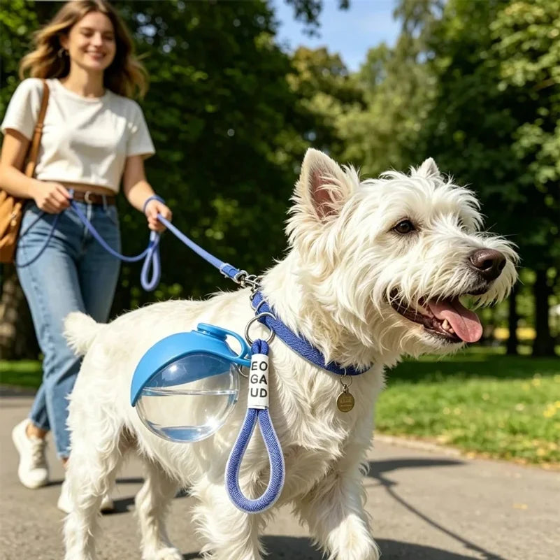 Gourde Portable pour Chien et Chat – 2-en-1 Anti-Fuite | Lento