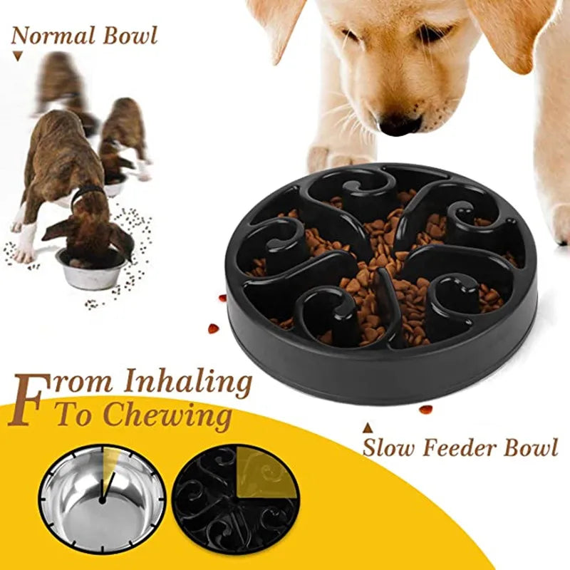 Bol Slow Feeder Chien – Antidérapant & Anti-Glouton | Lento