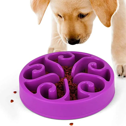 Bol slow feeder chien passant au lave-vaisselle