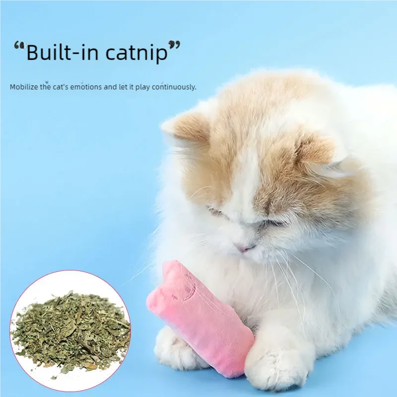 Chat se roulant avec le jouet à la cataire