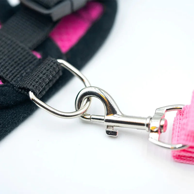 Harnais gilet ajustable avec laisse pour petit chien