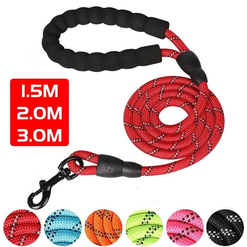 Laisse réfléchissante double résistance pour chien