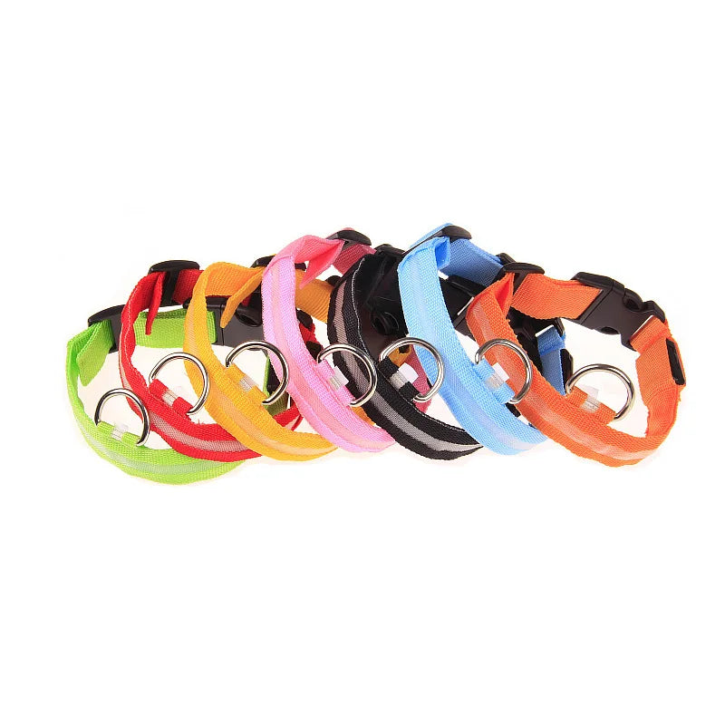 Laisse LED pour chien – Sécurité nocturne fluorescente en nylon