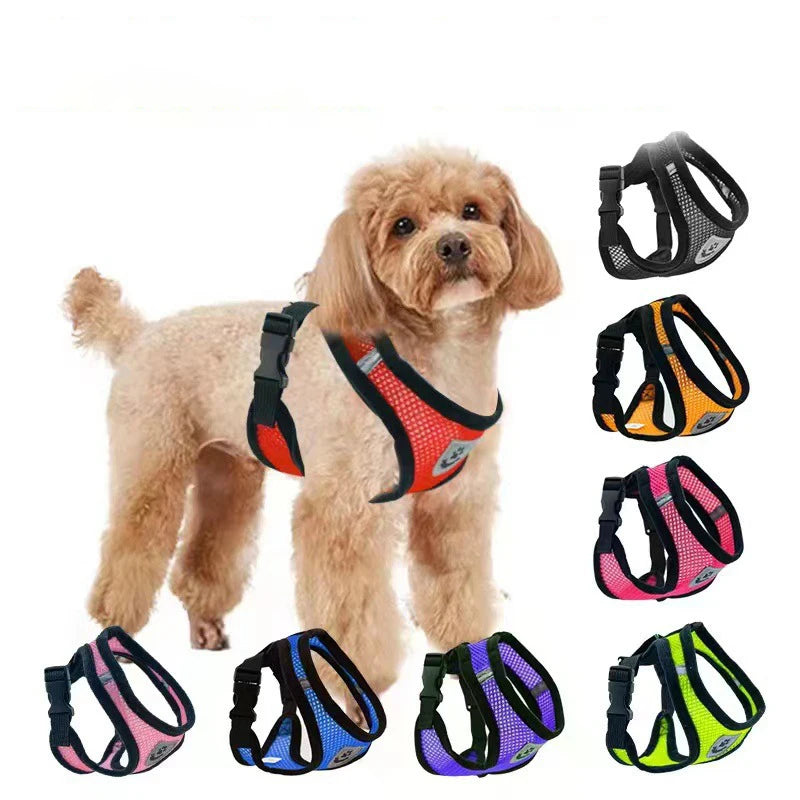 Harnais gilet ajustable avec laisse pour petit chien