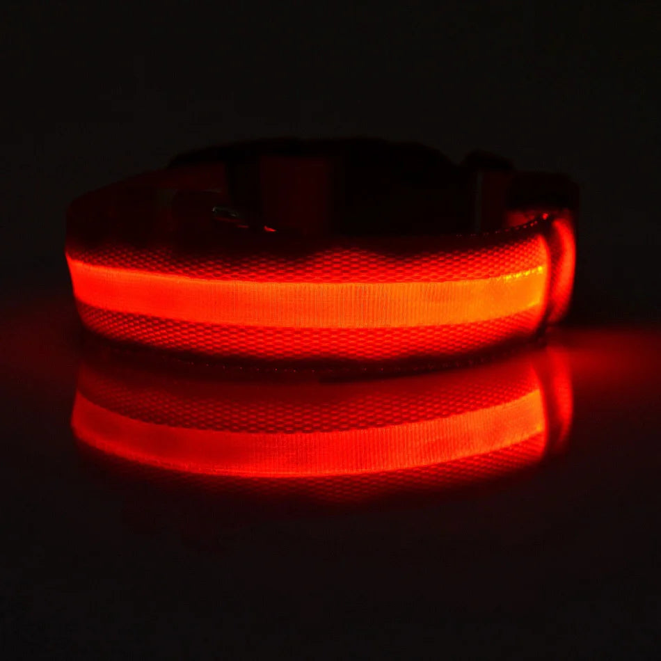 Laisse LED pour chien – Sécurité nocturne fluorescente en nylon