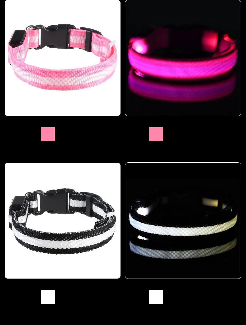 Laisse LED pour chien – Sécurité nocturne fluorescente en nylon