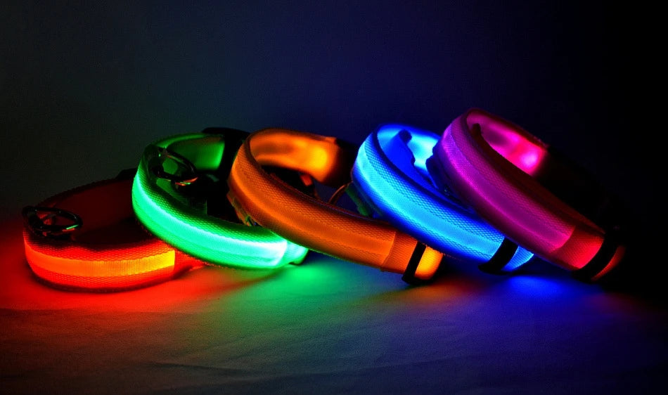 Laisse LED pour chien – Sécurité nocturne fluorescente en nylon