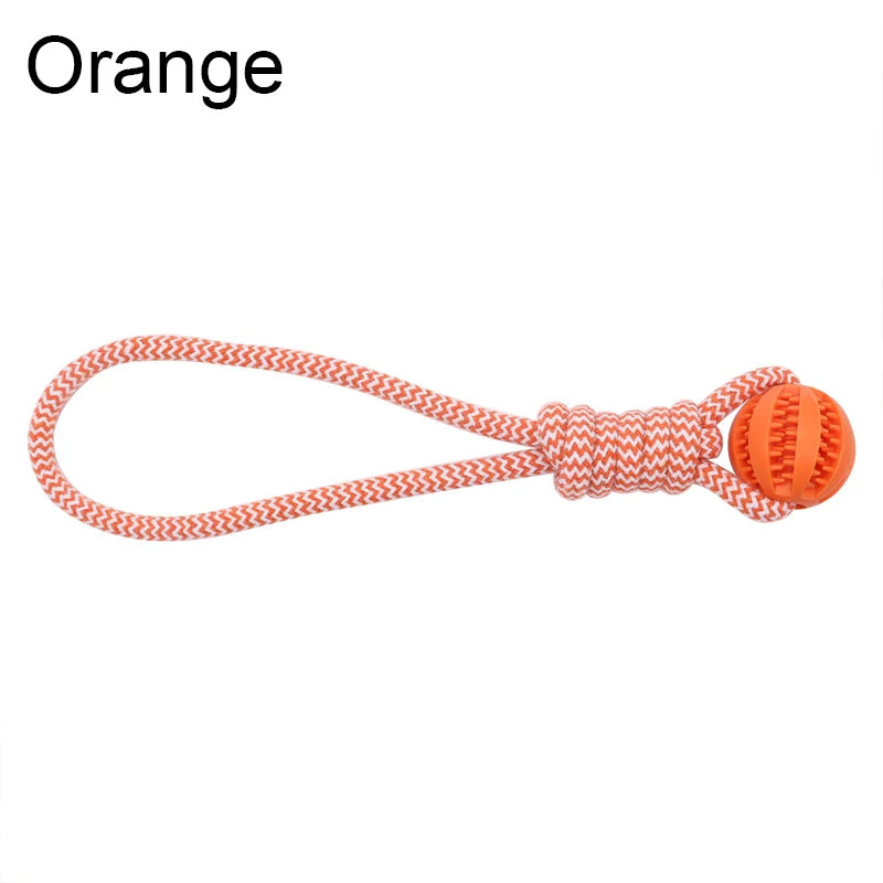 Nettoyage dentaire par la corde de coton