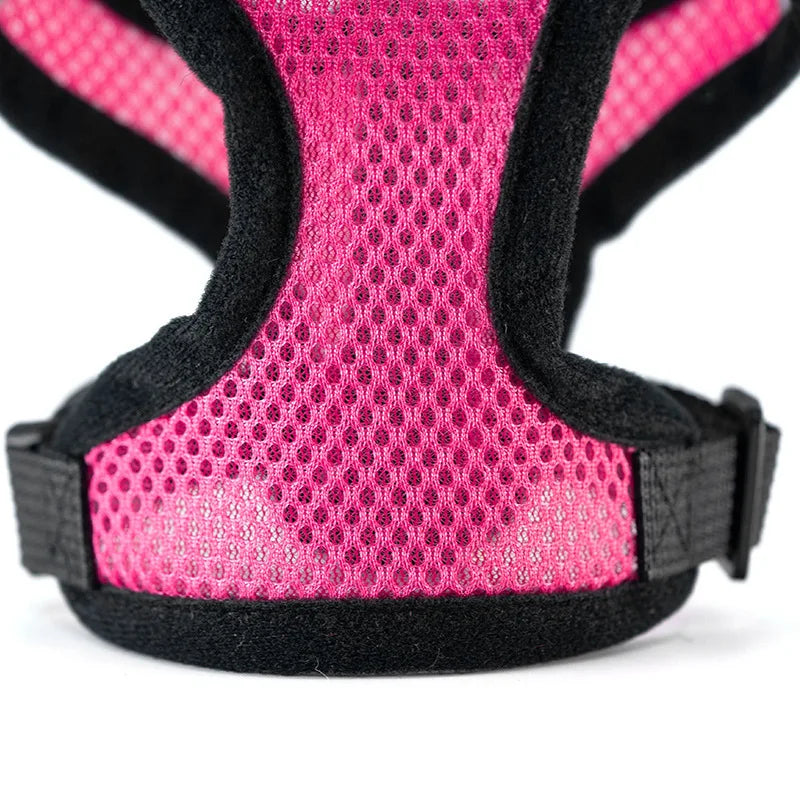 Harnais gilet ajustable avec laisse pour petit chien