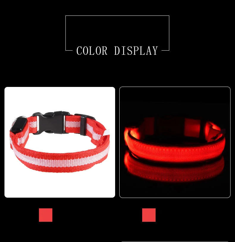 Laisse LED pour chien – Sécurité nocturne fluorescente en nylon