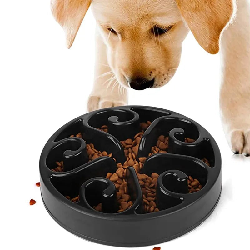 Chien qui mange dans un bol anti-glouton Lento