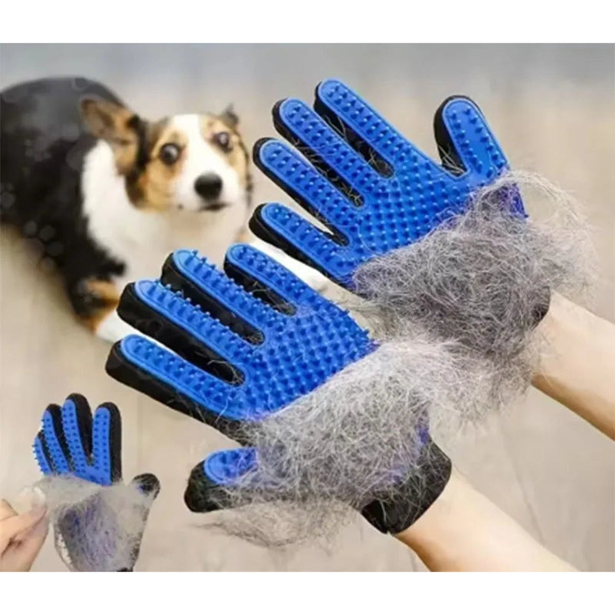 Gant de toilettage en silicone pour chien et chat